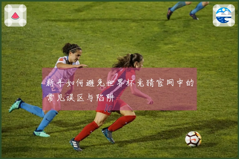 新手如何避免世界杯竞猜官网中的常见误区与陷阱