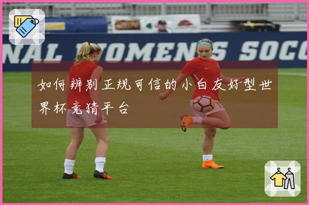 如何辨别正规可信的小白友好型世界杯竞猜平台