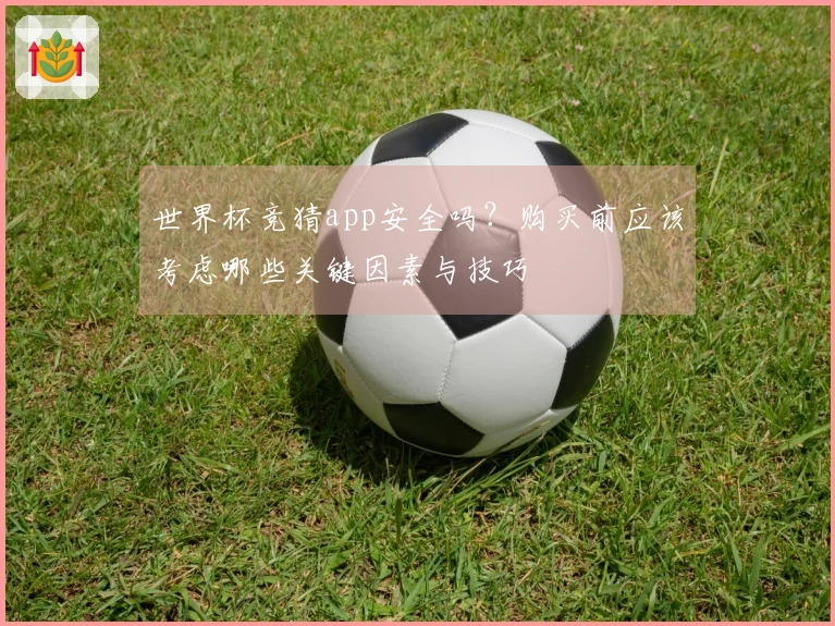 世界杯竞猜app安全吗？购买前应该考虑哪些关键因素与技巧