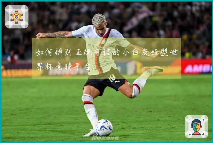 如何辨别正规可信的小白友好型世界杯竞猜平台