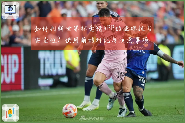 如何判断世界杯竞猜APP的正规性与安全性？使用前的对比与注意事项揭秘